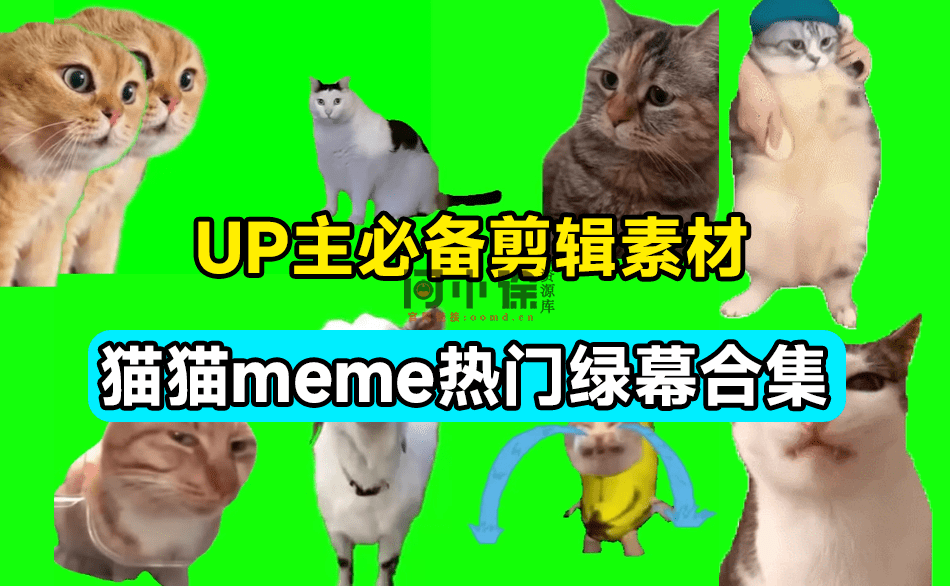 20240712kxxnr 20240712kxxnr